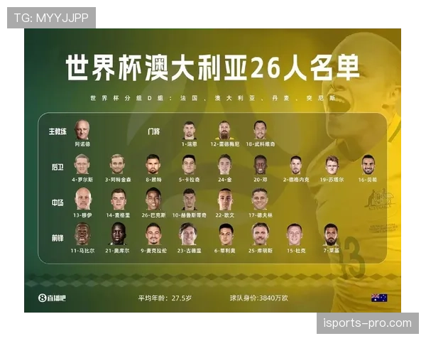 世界杯巴拉圭队D组冲击八强机会分析